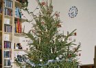 2004010419 kerstboom